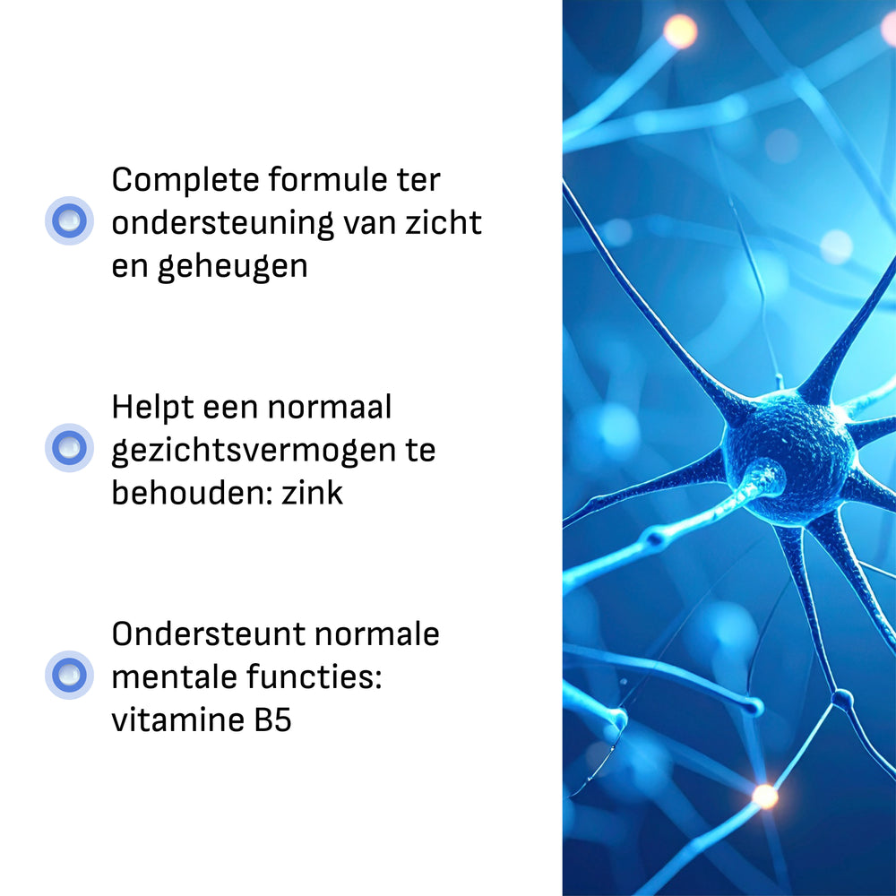 lang:nl
