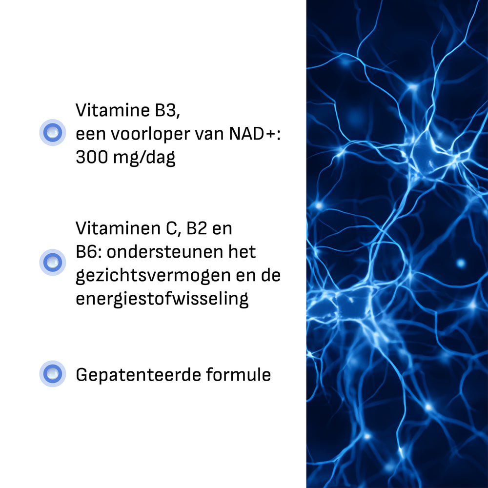 lang:nl