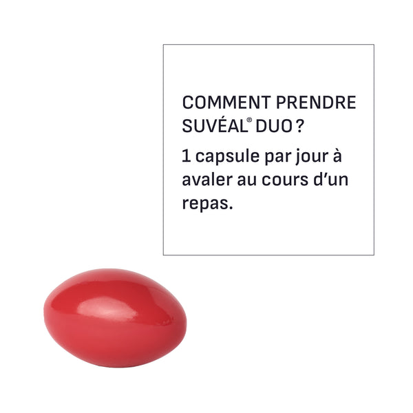 lang:fr